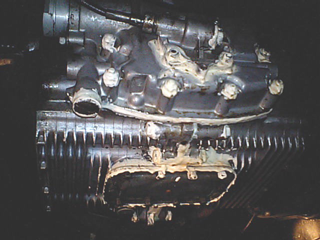 20070422_356__83I_83C_83_8B_98R_82_EA_83G_83_93_83W_83_93_1.jpg