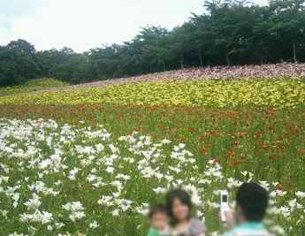 20060616__89_C2_90_87_82_E4_82_E8_82_CC_89_80_81Q6.jpg