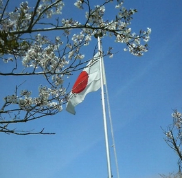 20080406_BS_93_FC_92c_8E_AE1.jpg