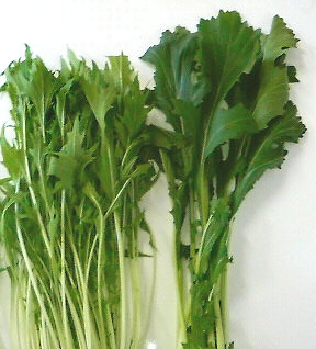 P1001714.JPG
