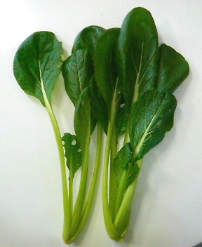 P1001715.JPG