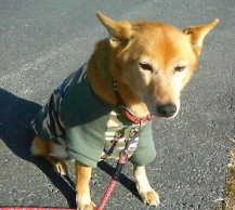 20081227__83G_83X2.jpg