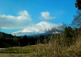 20090115_K4GP_90_CF_82_DD_8D_9E4.jpg