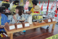 20090628_NHOM_81_40_8E_E5_8D_C3_8E_D214.jpg