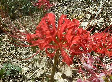 P1000411.JPG