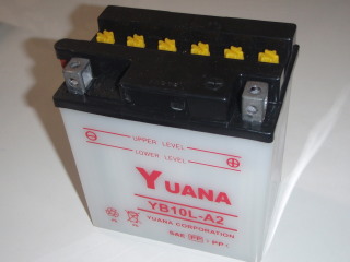 20100111_YUANA_83o_83b_83e_83_8A_81_5B1.jpg