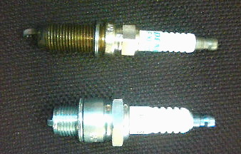 20100114__83e_83B_81_5B_83__83v_83_89_83O.jpg