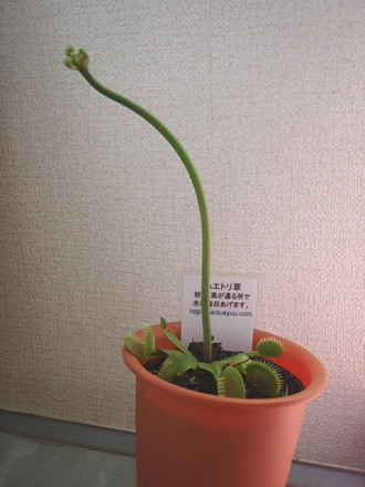 20100527__83n_83G_83g_83_8A_91_90_81_402.jpg