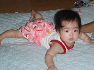 20100904_81_40_99z_89_B9_82_BF_82_E1_82_F11.jpg