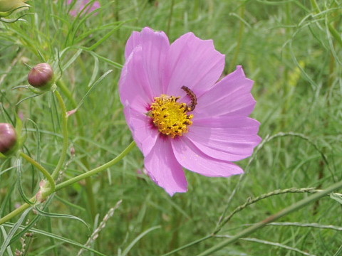 20101001__83R_83X_83_82_83X_94_A8_1.jpg