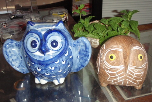 20101116_81_40OWL_82_CC_92u_95_A8_81_401.jpg