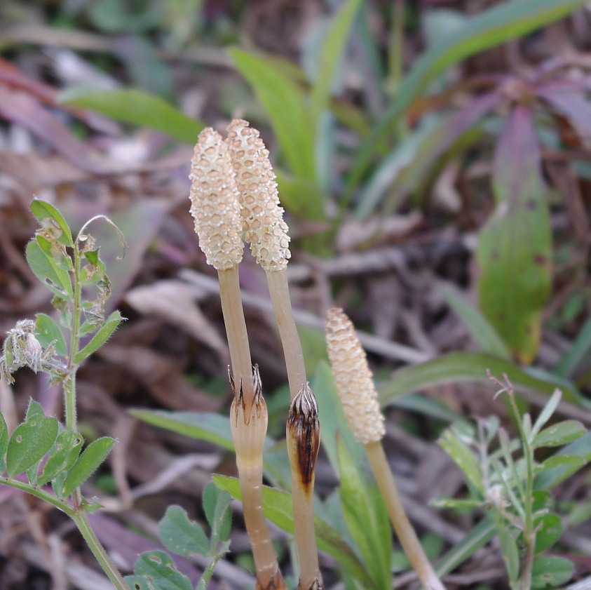20110324_81_40_93y_95M_81_401_2D1.jpg