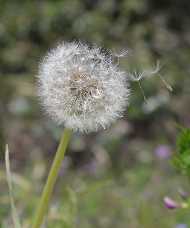 20110410_81_40_81_40_8Ft_82_CC_82_A8_89_D4_81_401.jpg