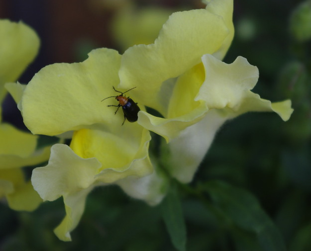 20110526_81_40_89_D4_82_C6_92_8E_81_402.jpg