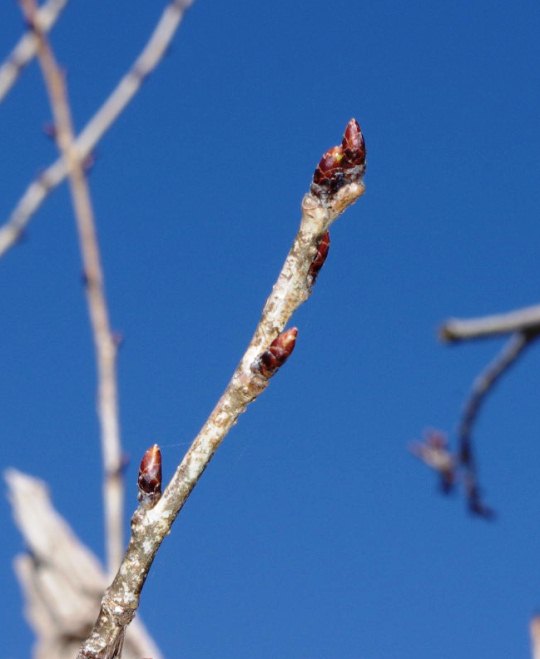 20120218_81_40_8D_F7_82_CC_90V_89_E8_81H.JPG