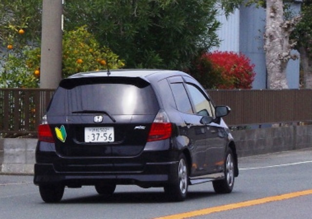 20130324___83t_83B_83b_83g_81i_8D_95_81j_8C_C3_8ER_97l6.JPG