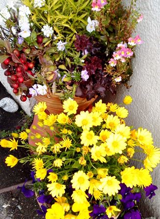 20140401__8D_F7_82_C6_8A_F1_82_B9_90A_82_A64.JPG