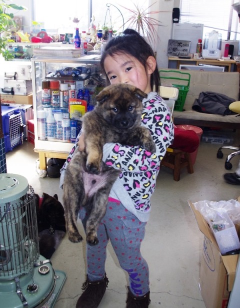 20150110____8CK_8C_B4_82_B3_82_F1.jpg